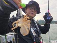 사천피싱스타 주꾸미 조황입니다 사진