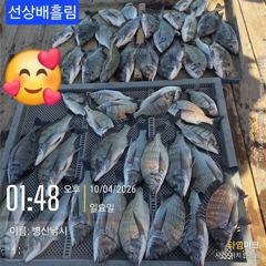 1시간전 [군산] 10/4. 군산. 대한낚시. 주꾸미. 조황. 내일도. 출동해요 사진