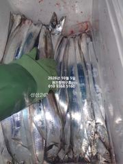 내만갈치)3지가 와라라락~배전체 많이 잡았네요~예약가능 사진