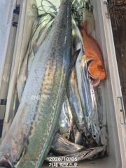 초대박~전원만쿨,이 맛에 텐빈,텐야