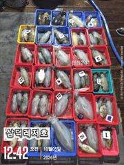 [팁런]1.3k.k. 완전무시들,"퍽퍽"마리수(화요일,출항) 사진