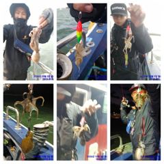 ★★후크스타호★5(월) 쭈꾸미, 갑오징어 실시간 조황★