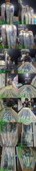 (14석통영명륜3호)은빛왕갈치 쿨러조황입니다 내일부터 출조합니다(내일부터 계속예약가능) 사진