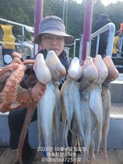 여수돌문어본격시즌시작ㆍ8일(목)자리가능ㆍ01086368723 사진
