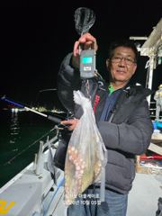 삼천포 문어,주꾸미 조황! 주간반,야간반 매일출조! 사진