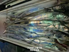 10월5일입항 대갈치 쿨러가득부터 반쿨까지 조황소식입니다 사진