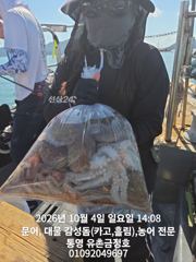 통영 금정호 내일 문어낚시 출항확정! 자리여유있습니다 사진