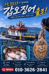 [고흥,녹동] 녹동돌문어 바람은 불어도 호조황~ 사진