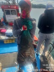 묵직한 문어로 냉동고 채우세요 한마리 한마리가 묵직 묵직합니다 사진
