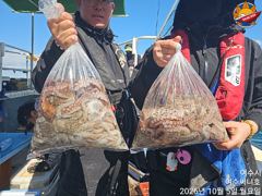 [여수,광양] 5일 문어 조황입니다.오늘도 풍성하게 사진