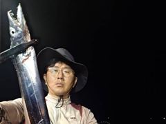 [진해] 준내만칼치 씨알급 피딩!!입질폭발~쿨러가득!!화,수,목,일예약가… 사진