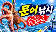 문어 >생미끼 >갑오징어 예약가능 사진
