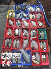 [통영] [팁런]1.3k k 완전무시급들 ,마리수로(화요일,소수인원,출항… 사진