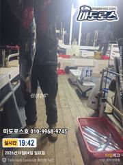 목금토 출항확정 ! 사진