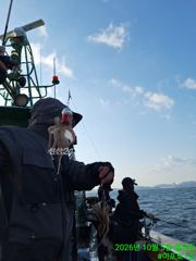 10.5쭈꾸쭈꾸조황