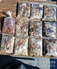삼천포 아수라피싱 주꾸미 조황