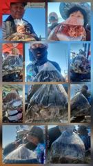 월요일 삼천포 주꾸미 굿 조황/예약중 /내일 가능 사진