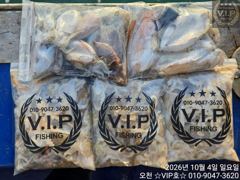 10월 04일 오천항VIP호 쭈꾸미&갑조황 사진
