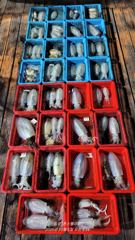 4일 일요일 무늬 키로부터 씨알급 조황입니다.