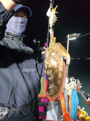 목포신세계피싱 갑오징어 출조 야간낚시 손맛 시작