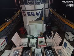 [진해] 먼바다갈치 ///갈치텐빈&한치 수, 목, 금, 토~ 예약가능 사진