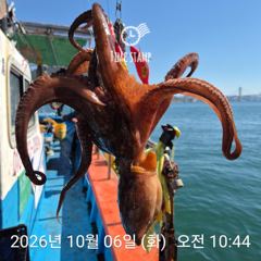 바람이 불어도 유신호 문어는!