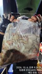 10/06 고흥킹콩호 야간문어 대박조황~