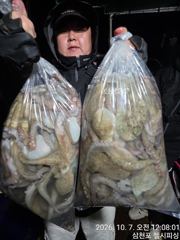 오늘도 대박조항~