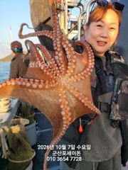 7일, 군산 왕문어~ 덩치급 문어들~실시간~군산낚시프라자 포세이돈호