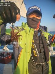 내만 갈치 새벽 피딩에 정신 없고~~(오늘 예약 가능)