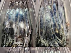 [진해] [7일입항] "내만갈치" 4지까지!! 올라왔어요~ 빵빵한 씨알에…
