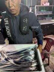 #목포야타피싱 #10월6일 #야간갈치낚시 #조황!