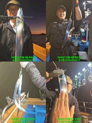 내만 갈치 팔이 아파 더는 못잡겠네 쿨러 가득 가드 오늘 예약가능