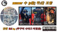 10/7 수 [3물] 쭈꾸미/갑오징어 조항 입니다.