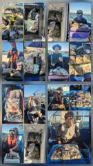10월7일 오천항 팀오디세이호 쭈갑^^