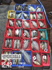 [통영] [팁런] k,k,완전무시급들,마리수(목,금,출항확정,자리여유)