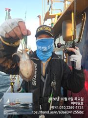 8일, 군산은 지금 갑오징어 천국~대박시즌 ~오늘도 따끈따끈한(?) 갑돌이들~실시간 ~군산낚시프라자 하이원호 등록일 : 2026-10-08