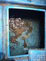 문동 피싱호 무늬오징어 팁런 조황