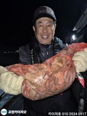 7일 야간 돌 문어 조황 입니다 사진