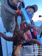 8일, 군산 빵빵한 왕문어 ~싸이즈 굿~덩치급 낚여요~오늘도 굿~실시간~군산낚시프라자 스마트호