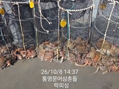 [통영] (문어)사이즈 합격~K전후 덩치들로 마릿수 소식 락피싱(9일 예…