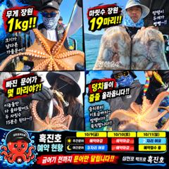 삼천포박프로 흑진호｜가을문어 씨알 제대로 붙었다!! 망탱이가 묵직하다