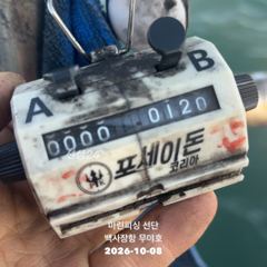 26.10.08 백사장항 무야호 갑오징어 조황^^