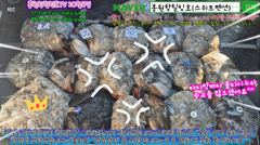 10월8일 홍원항힐링호 Very Good~ 쭈갑 조황~!장원11.3kg오바~ 2등9.2kg 전원5~8kg씩 잡으셨네요ㅎㅎ 손맛들 제대로 보셨네요.수고들 많으셨습니다~ㅎㅎ 사진