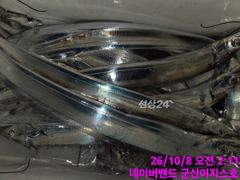군산갈치 잘나옵니다