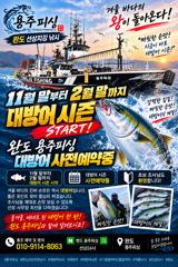 완도 대방어 지깅 사전예약11월 말부터 2월 말까지