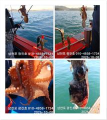 [사천] 왕쭈꾸 장원178수 {평일,할인},토,일,자리여유 예약중