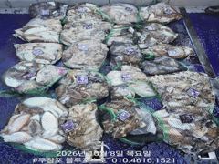 [먹물조황] 10/8 쭈꾸미 갑오징어 조황
