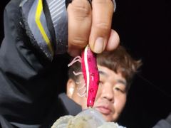 무늬팁런 끝이 보이기 시작하는군요