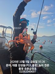 통영 금정호 대물문어선상 아침부터 바쁩니다!! 토,일요일 자리있…